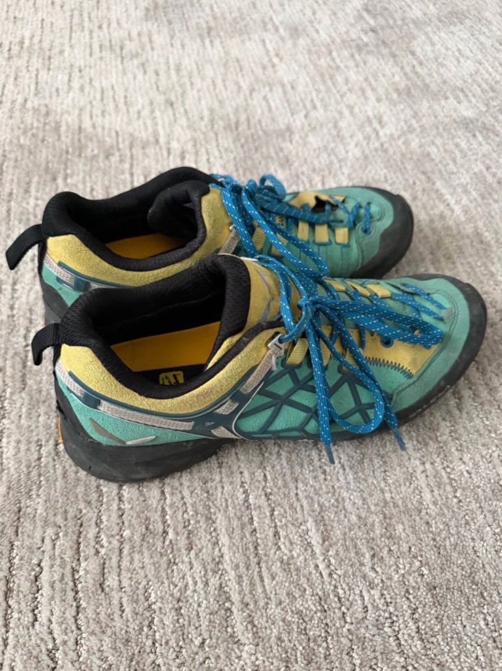 Salewa approach shoes
